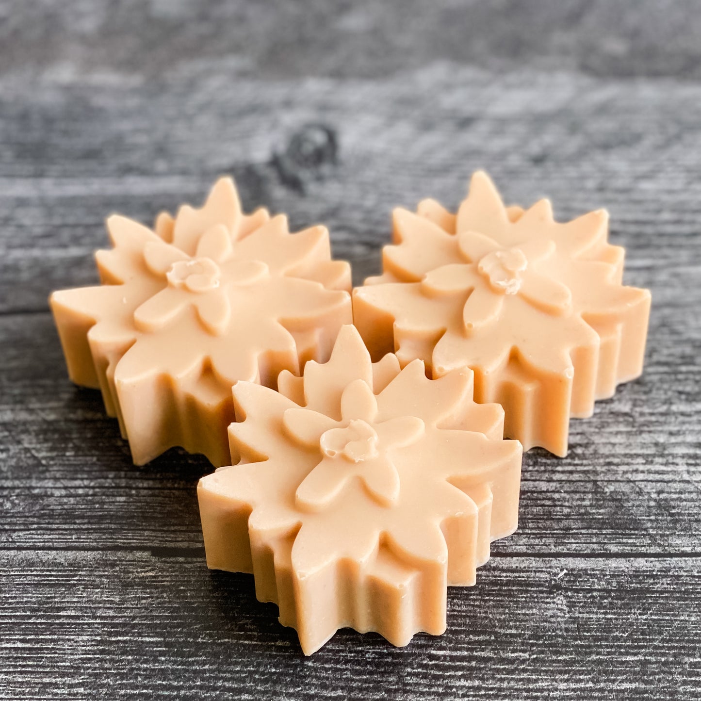 Aloe & Rosehip Facial Soap